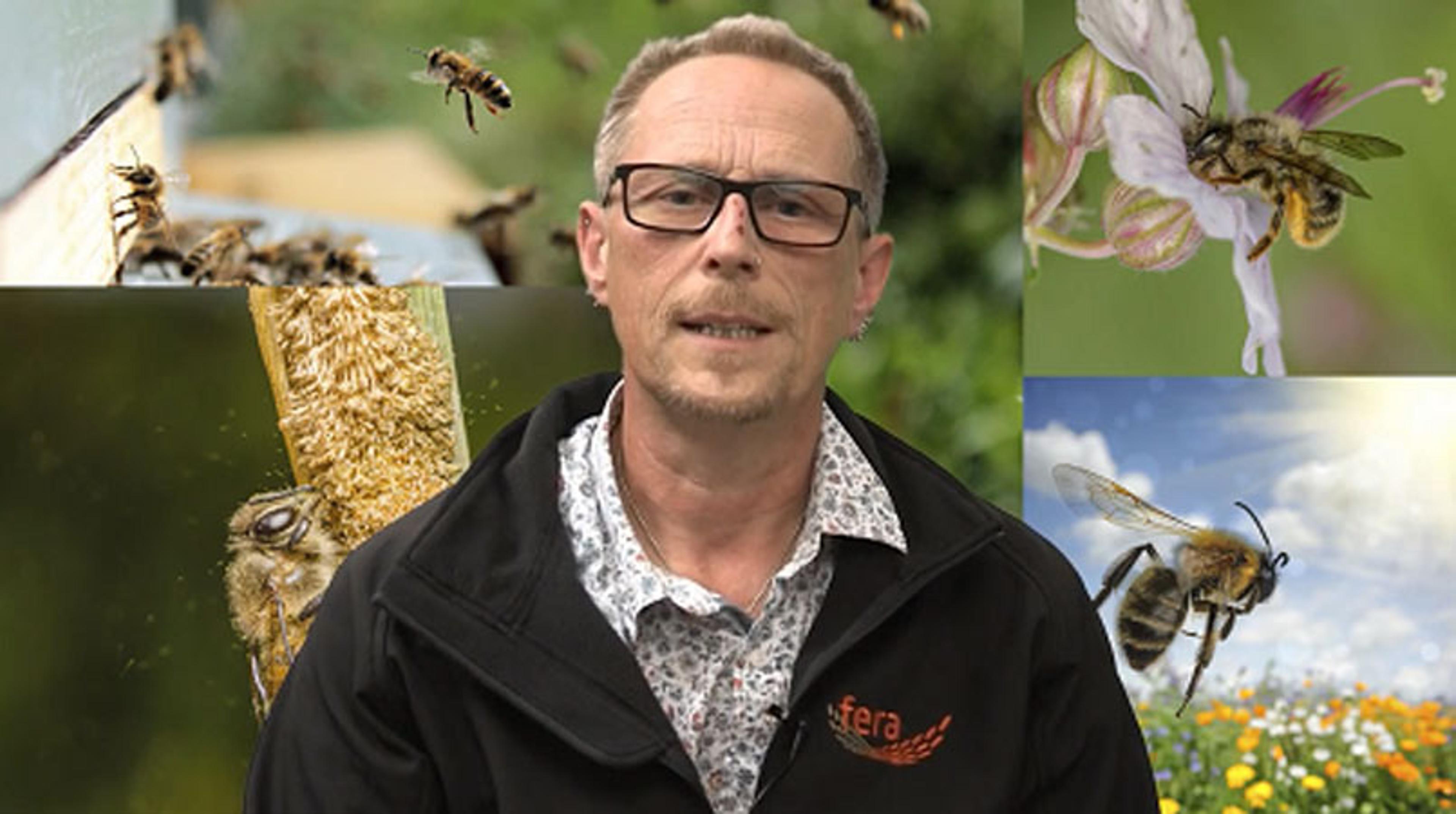The Importance of Testing Plant Protection Products for Bee Safety The Importance of Testing Plant Protection Products for Bee Safety