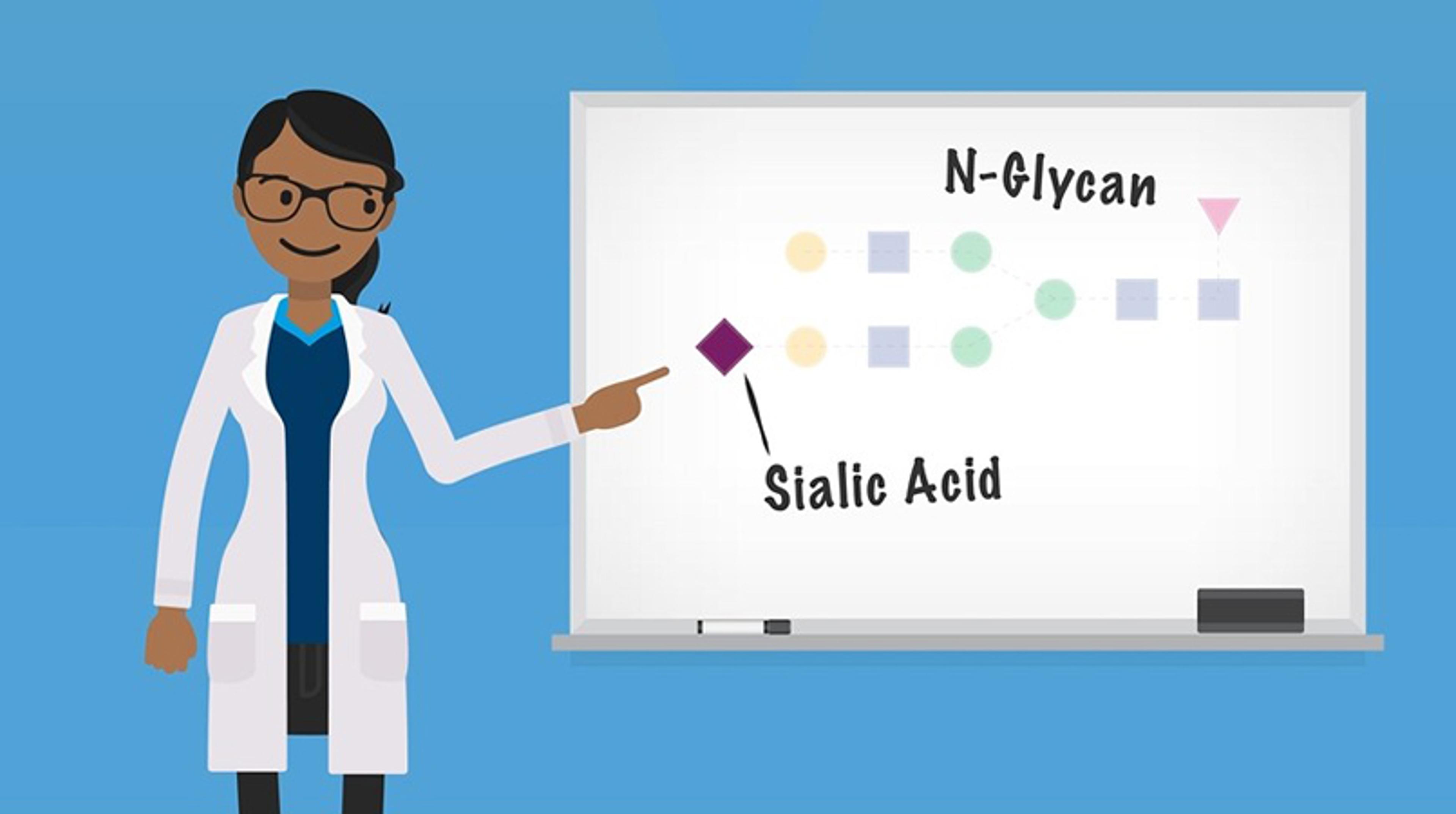 Rapid, sensitive, and high-throughput sialic acid quantitation Rapid, sensitive, and high-throughput sialic acid quantitation