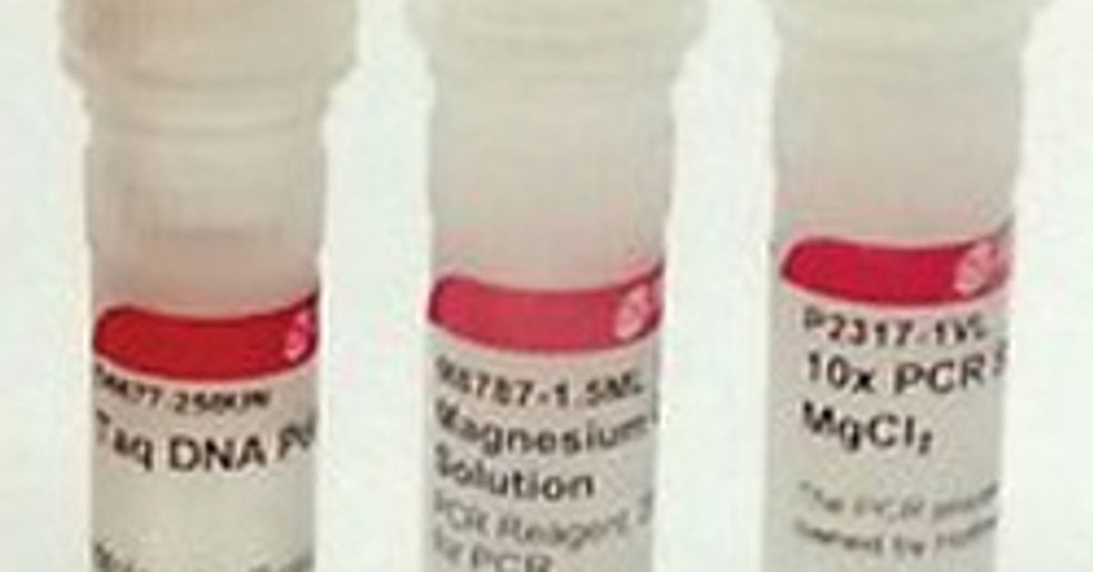 Taq DNA Polymerase from Thermus aquaticus SelectScience