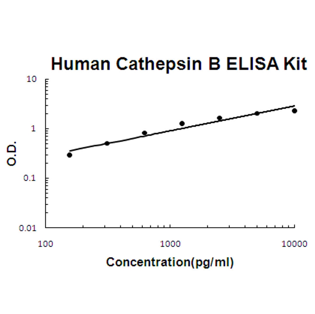 Human Cathepsin B PicoKine ELISA Kit standard curve