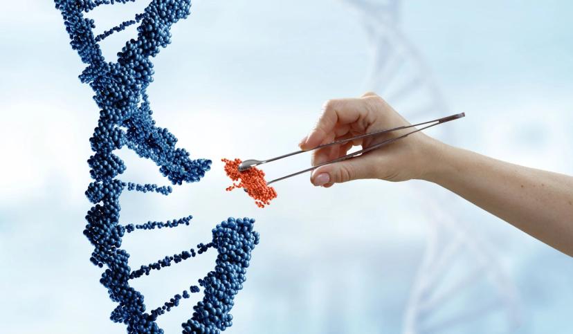 The genetic information of DNA being altered through gene therapy