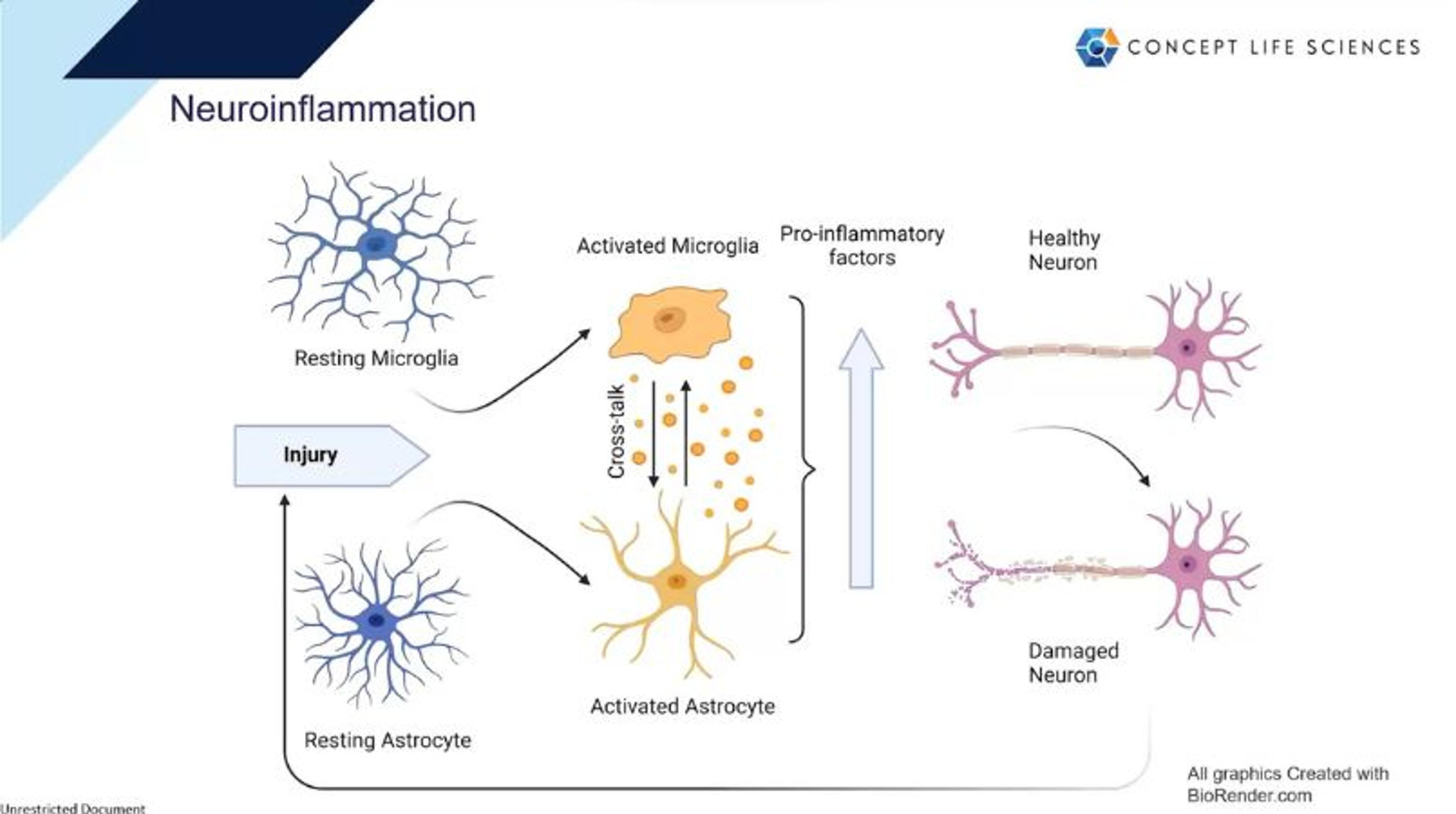 Translational models for drug discovery in neuroinflammation Translational models for drug discovery in neuroinflammation