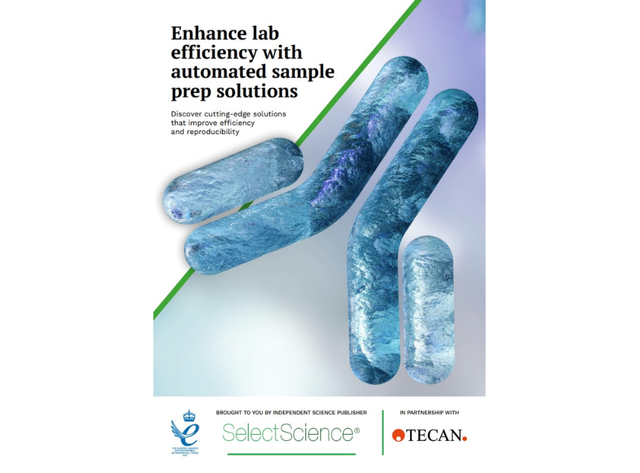 Enhance lab efficiency with automated sample prep solutions