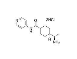 Y-27632 (Dihydrochloride)