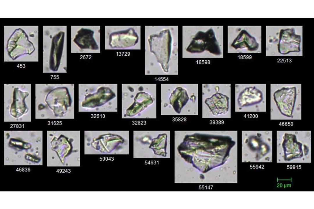 Silica mineral particles imaged on FlowCam 5000