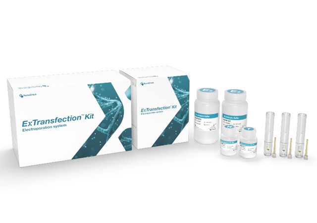Invitrogen™ Image-iT™ FX Signal Enhancer reviews
