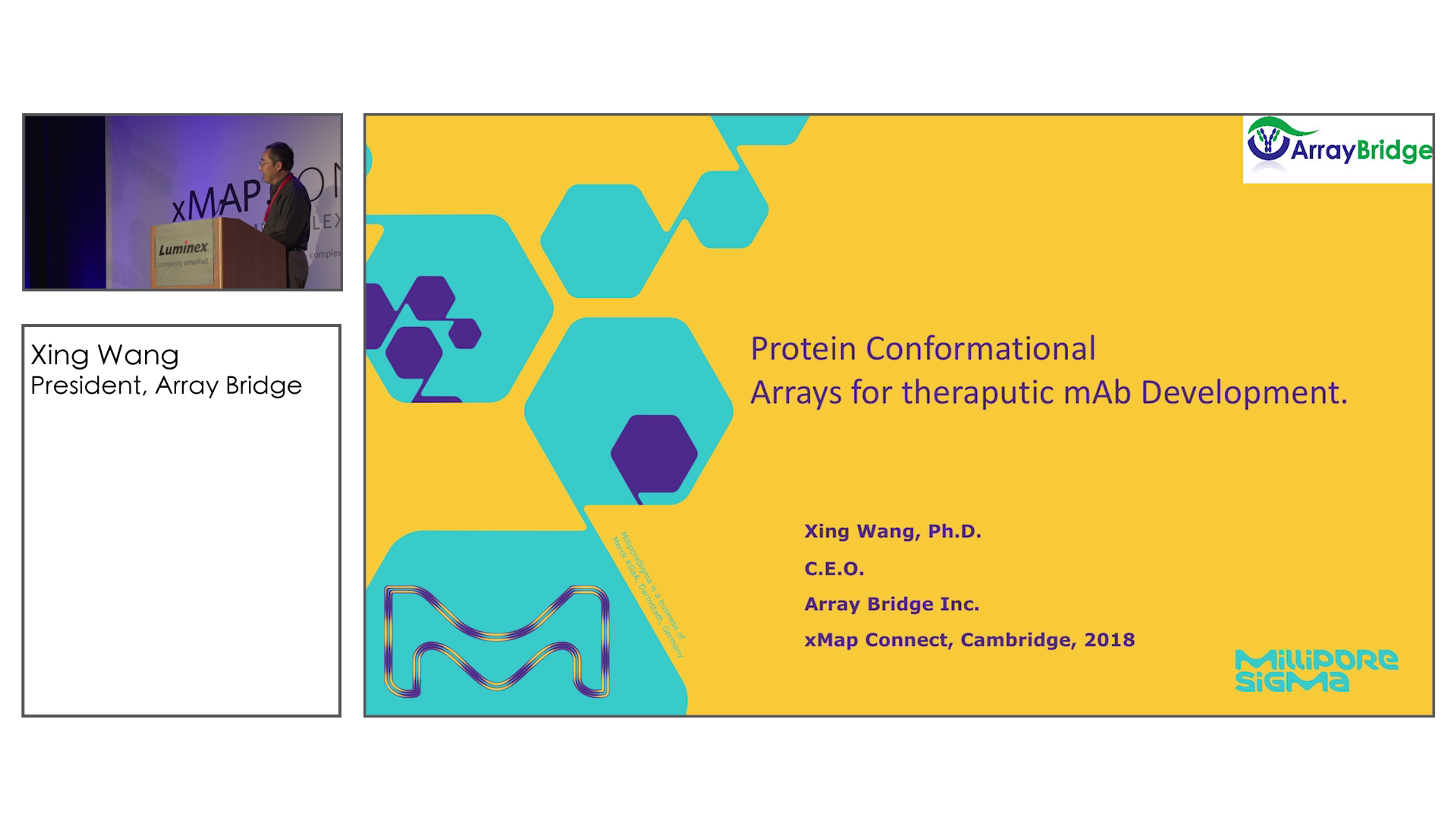 Protein Conformational Arrays for Therapeutic mAb Development Protein Conformational Arrays for Therapeutic mAb Development
