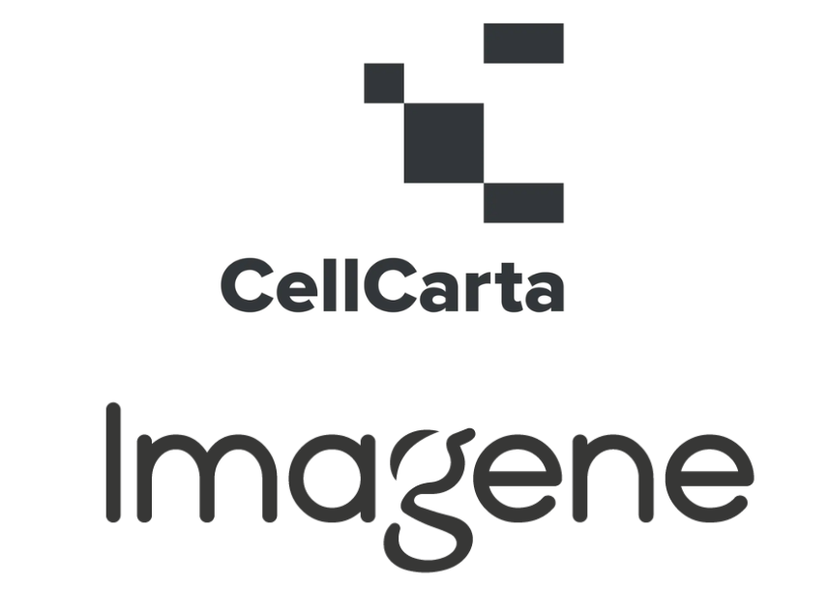 CellCarta and Imagene AI expand CDx collaboration