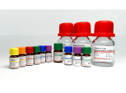 The Vitamin B1 & B6 concentrated LC-MS Kit 