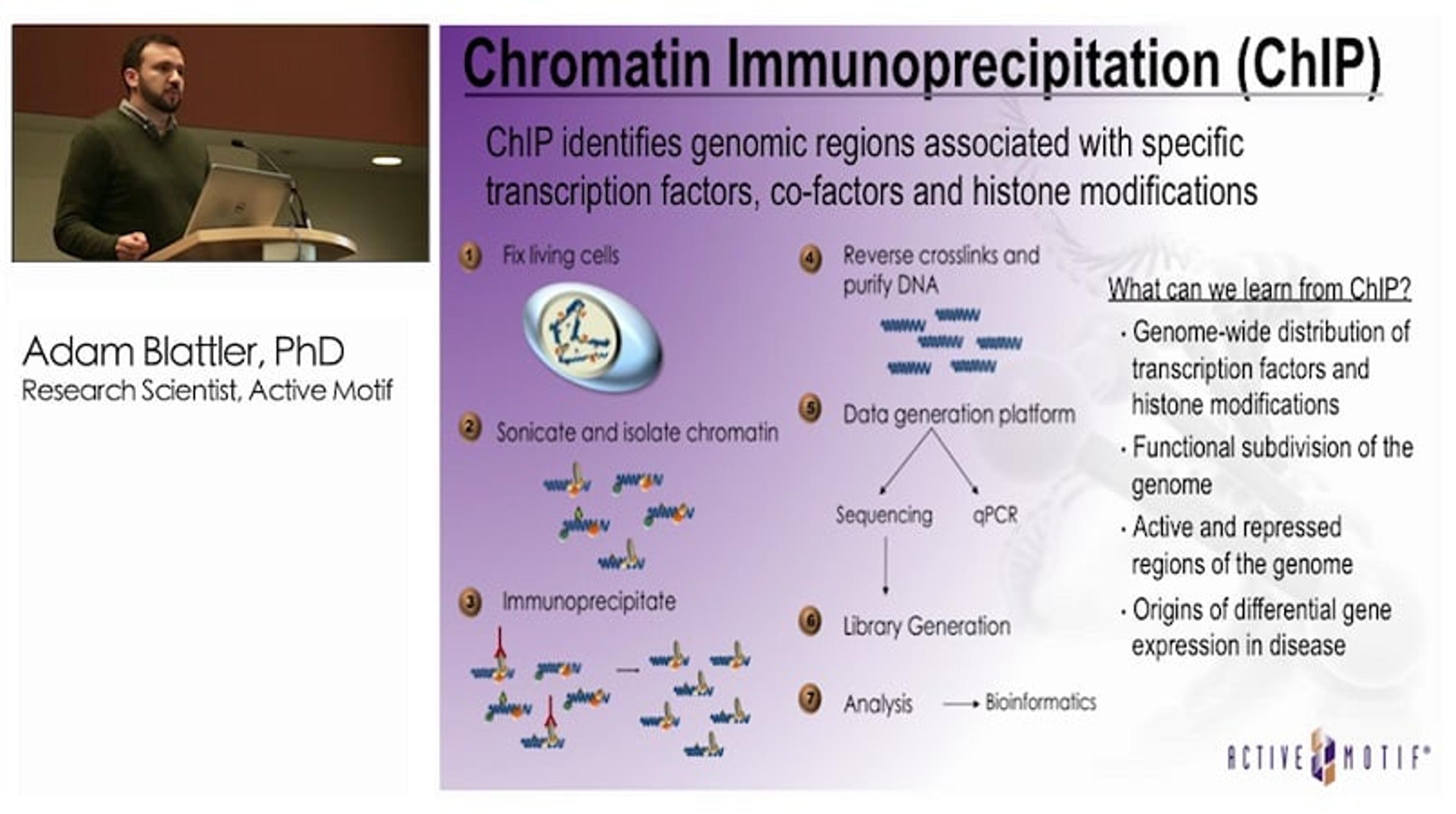 New Tools for Studying Epigenomes of Clinical Samples New Tools for Studying Epigenomes of Clinical Samples
