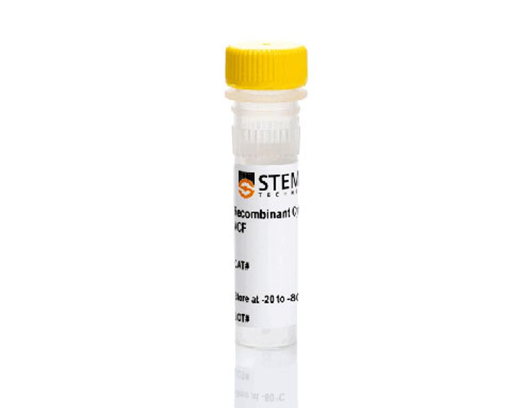 Human Recombinant GM-CSF, ACF