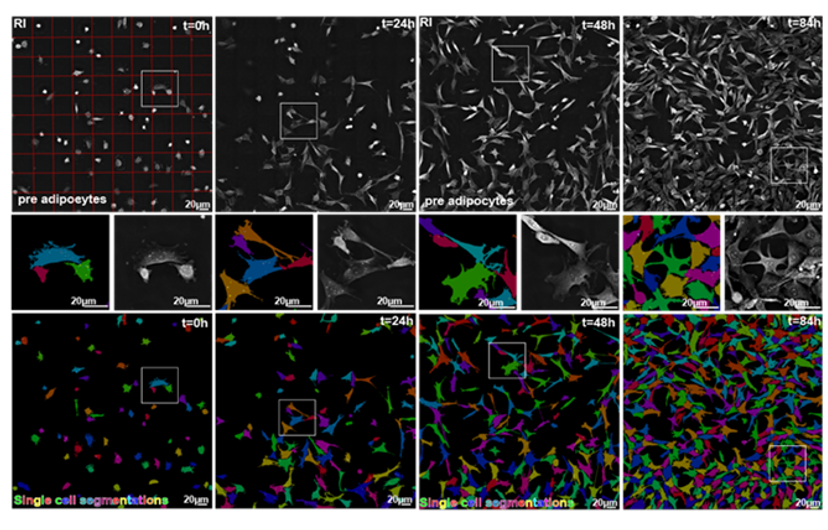 EVE Analytics software in action