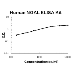 Human Lipocalin-2/NGAL PicoKine ELISA Kit standard curve