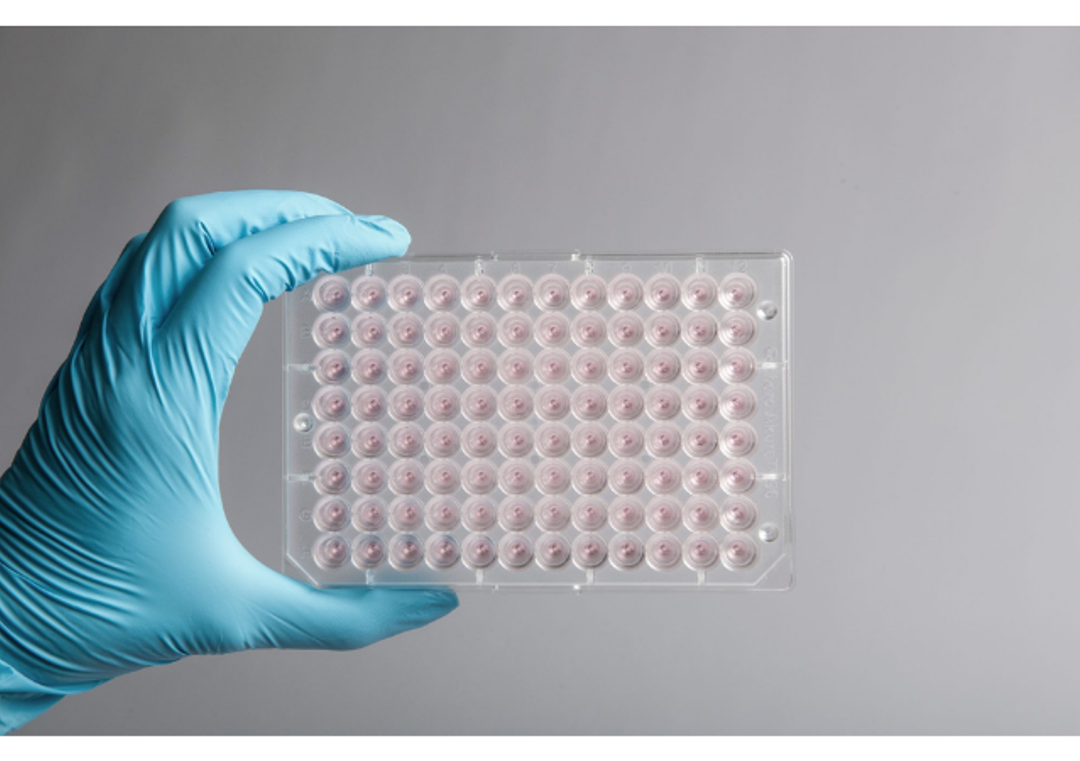 Akura™ 96 Spheroid Microplate (20/pack) - InSphero