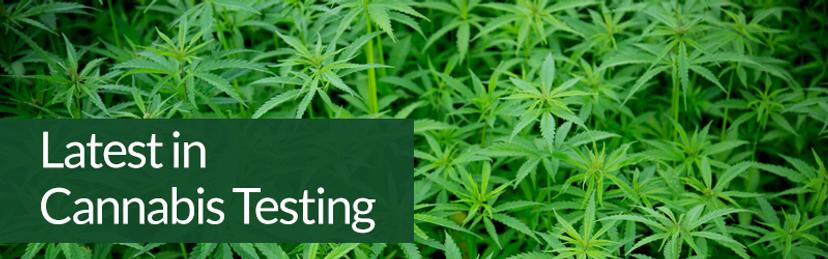 Latest in Cannabis Testing