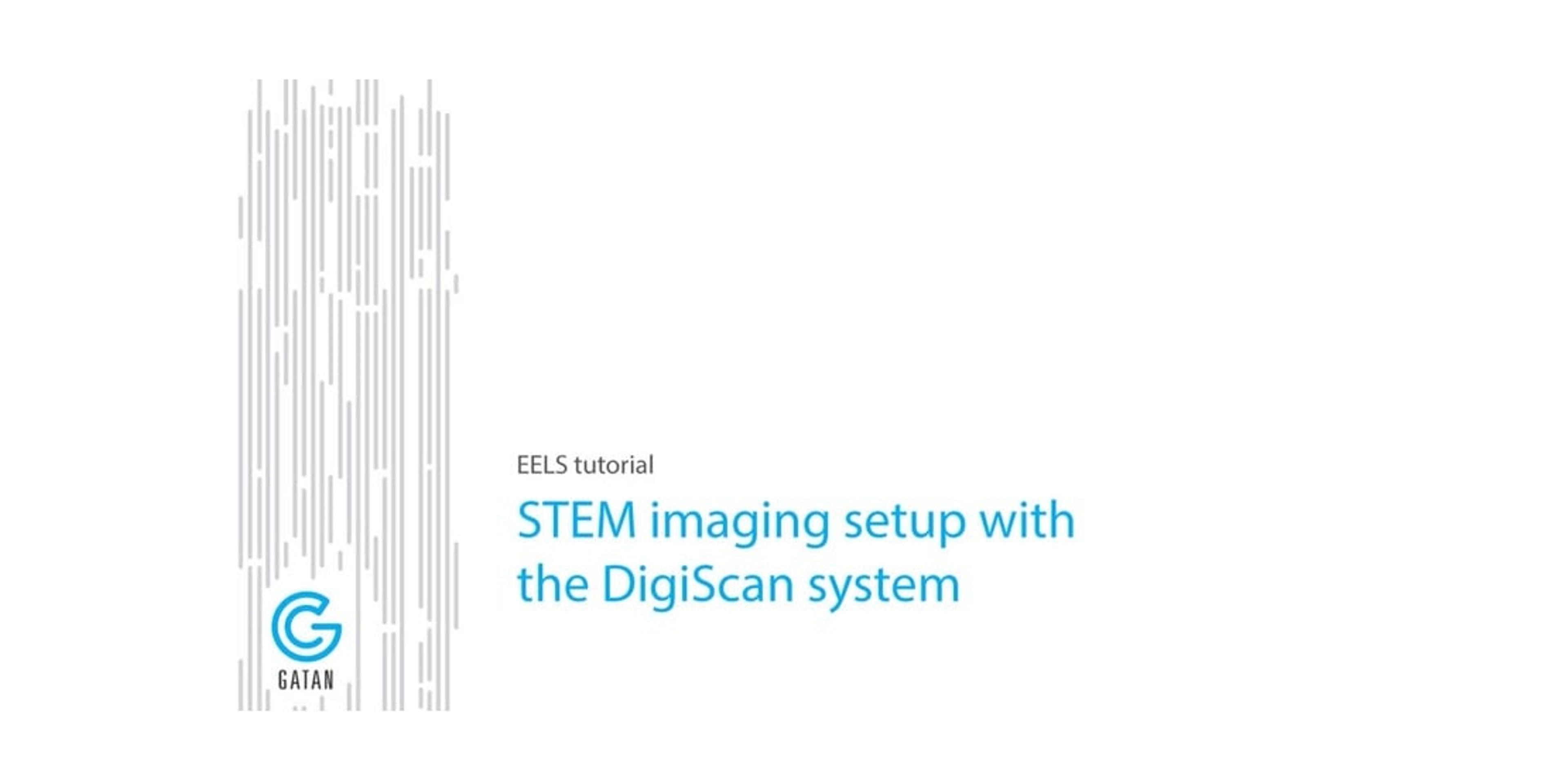 STEM Imaging Using the Digiscan System STEM Imaging Using the Digiscan System