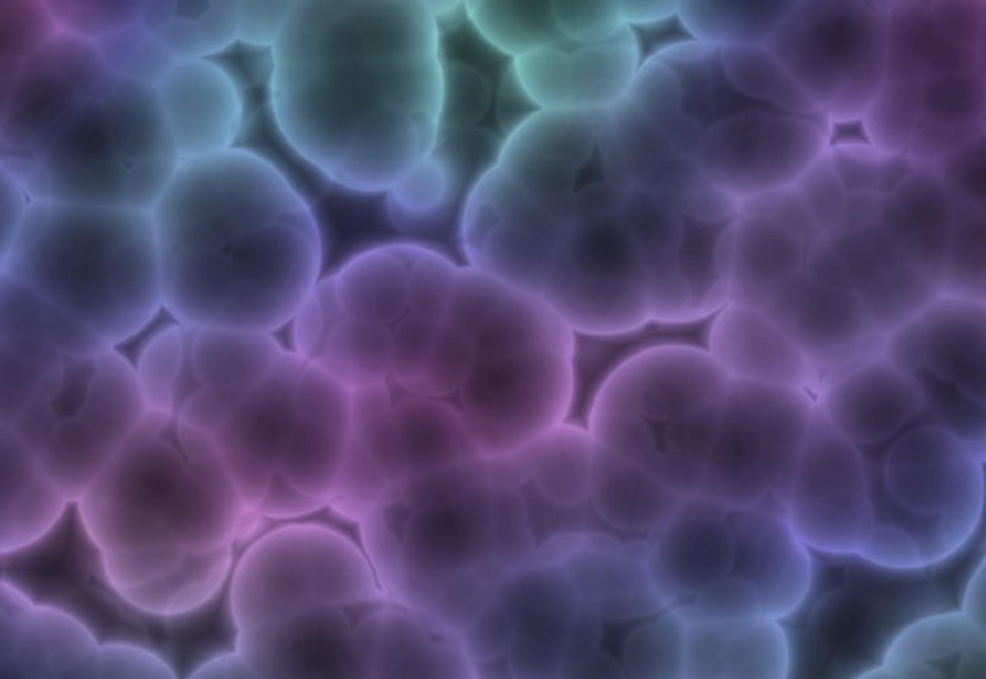 How to Buy Cell Imaging Technology
