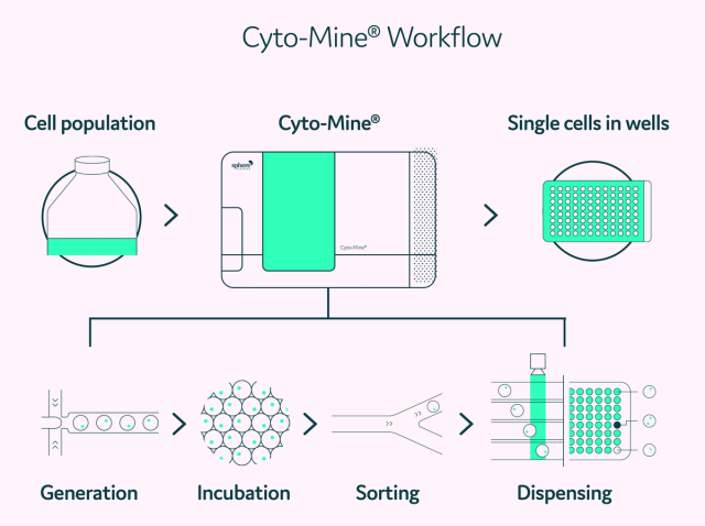Redefining quality in cell line development