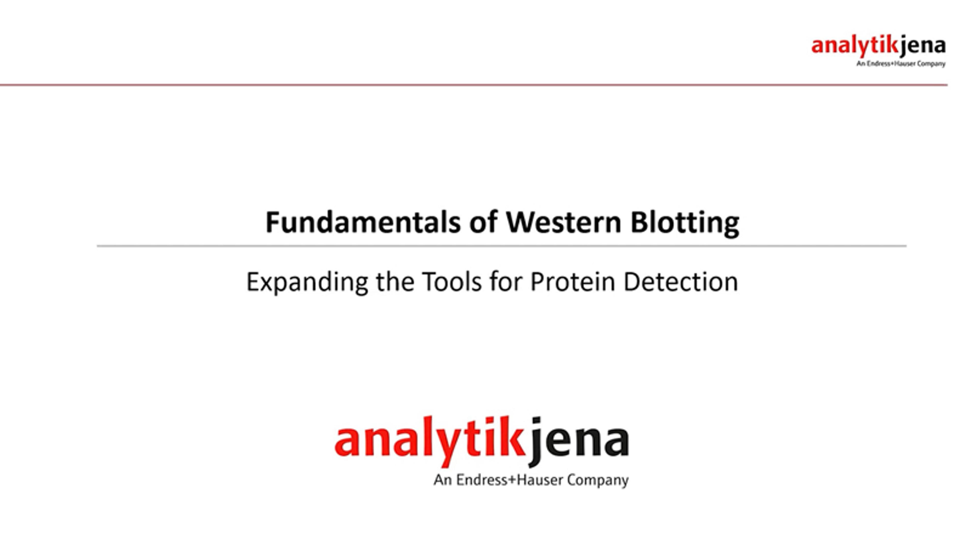 Fundamentals of western blotting: Expanding the tools for protein detection Fundamentals of western blotting: Expanding the tools for protein detection