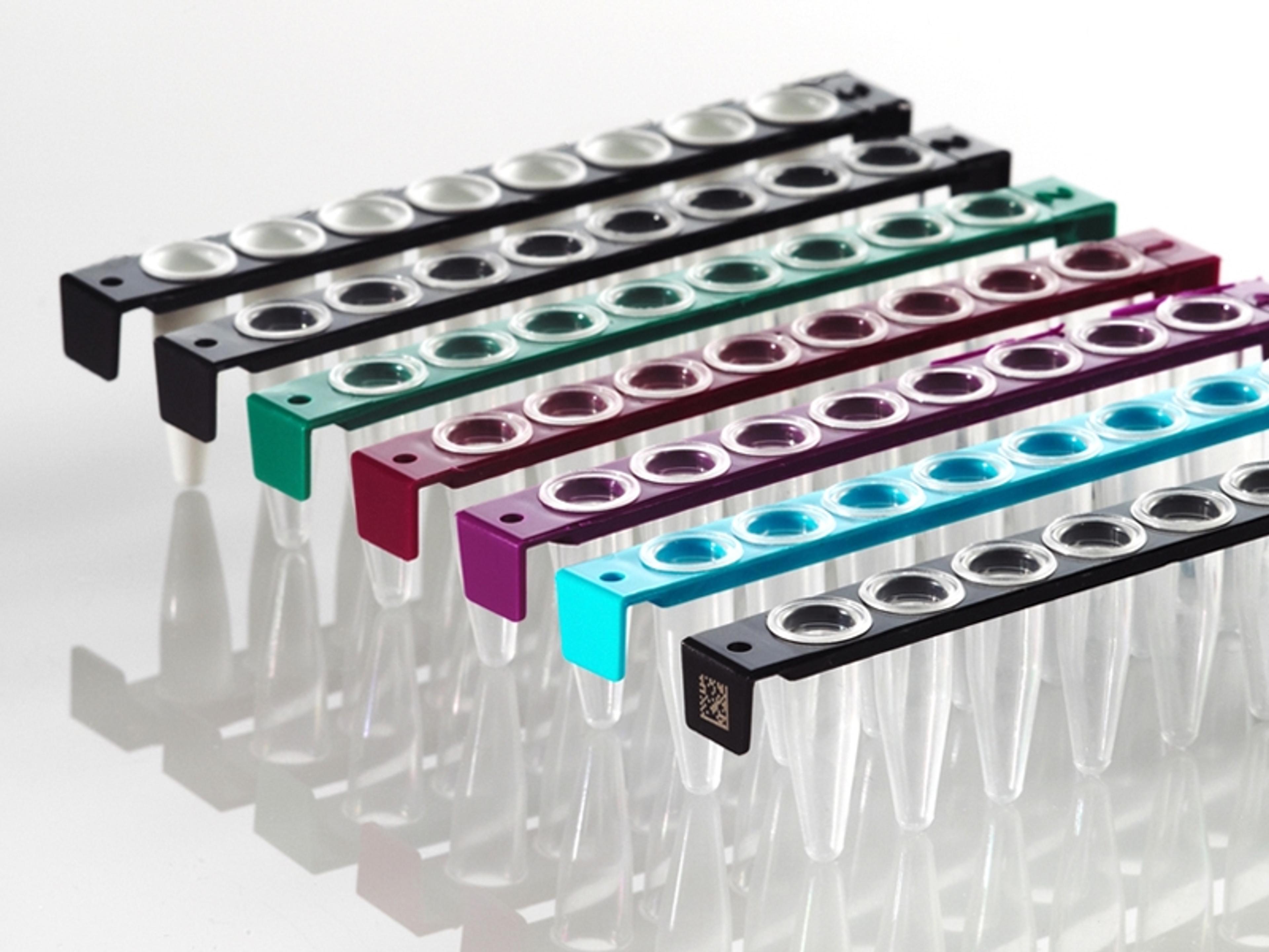 FrameStrip® 8 Well PCR Tube Strips