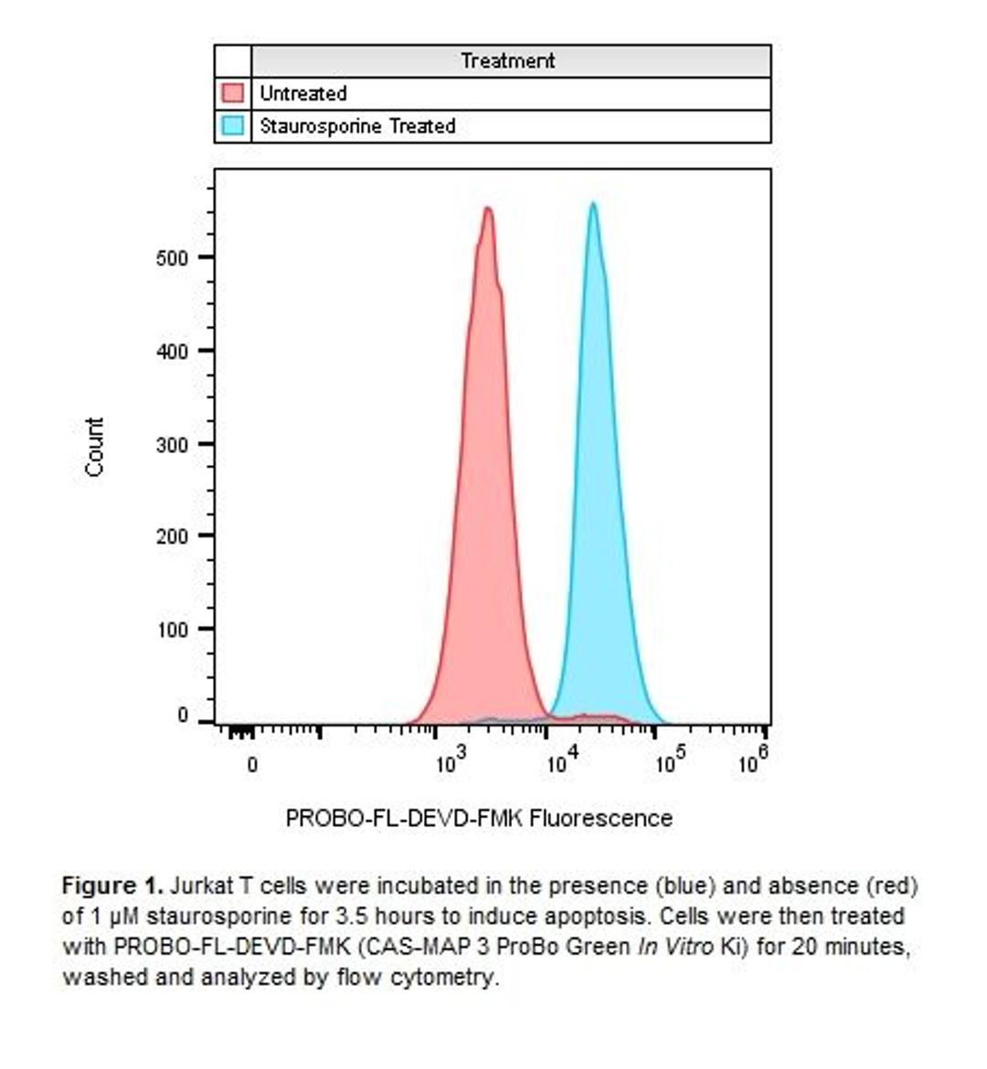 Cells stained with Caspase 3 apoptosis kit, flow cytometry