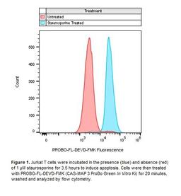 Cells stained with Caspase 3 apoptosis kit, flow cytometry