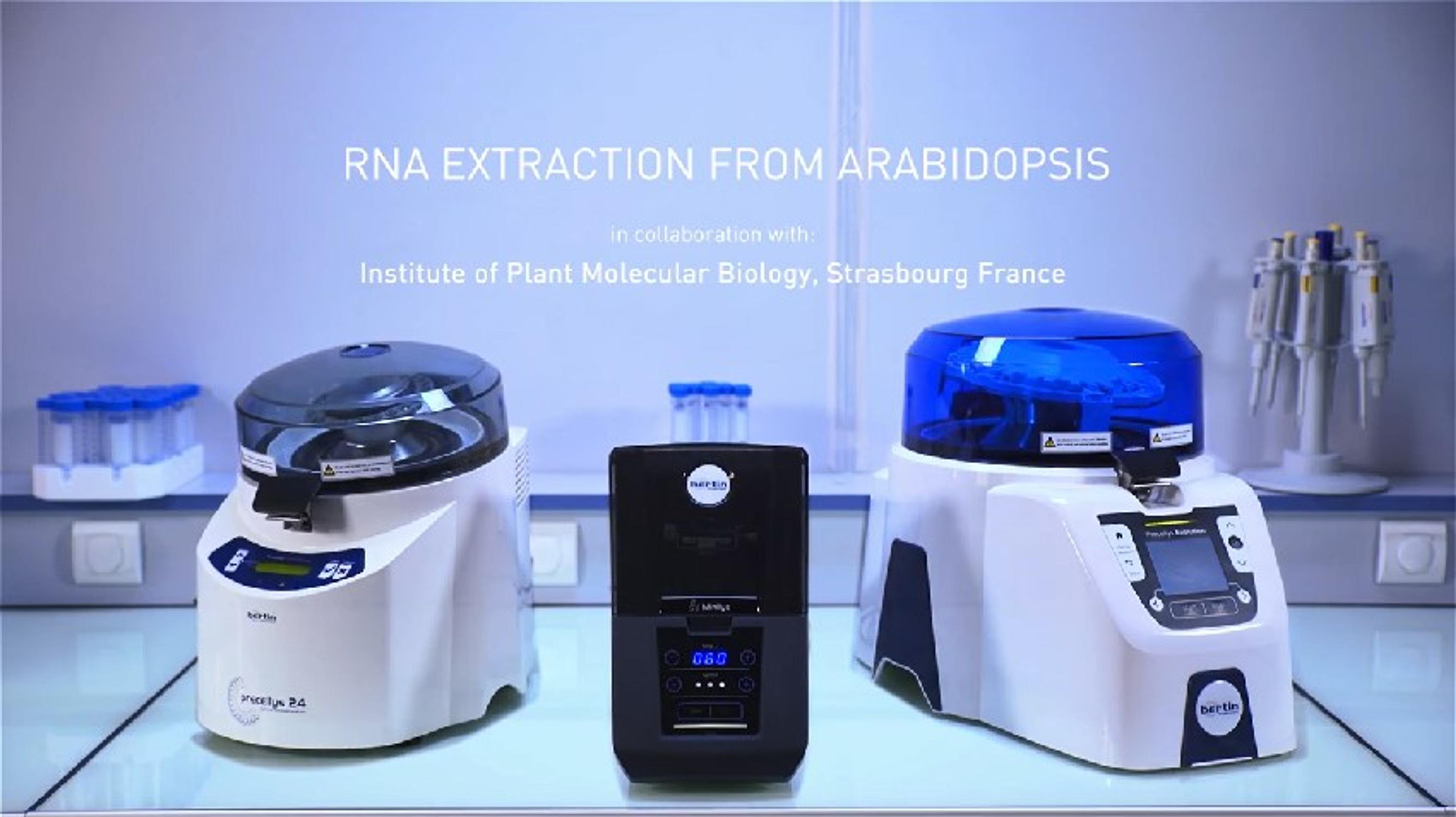 RNA Extraction from Arabidopsis Seedling with Minilys RNA Extraction from Arabidopsis Seedling with Minilys