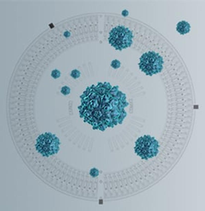 Image of a Gyrolab Bioaffy CD and viruses