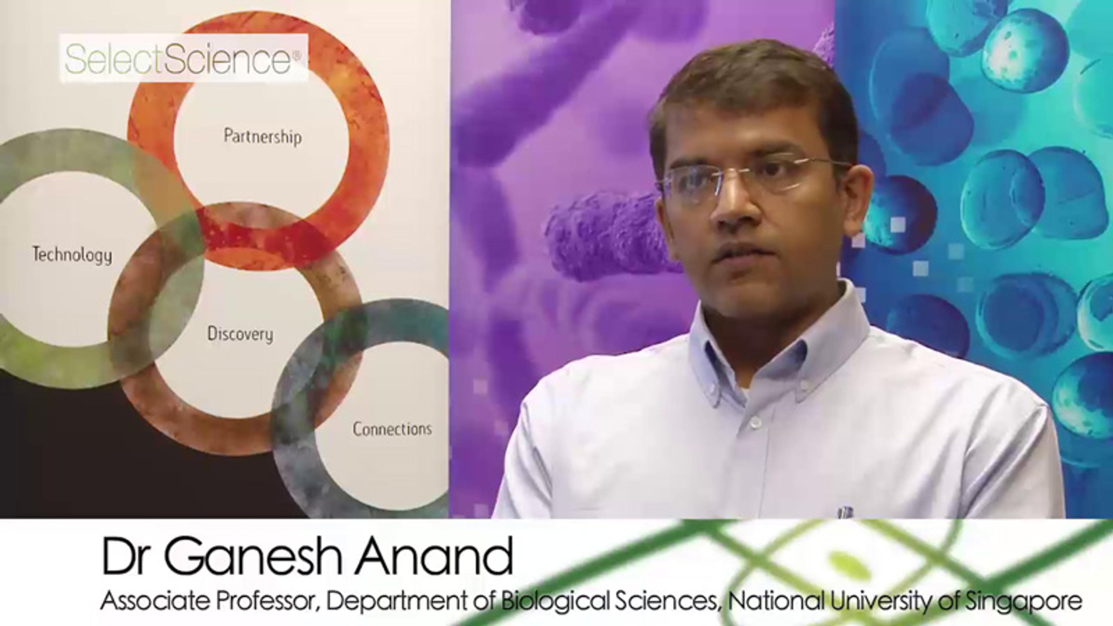 Analyzing Viruses using Hydrogen Deuterium Exchange Mass Spectrometry Analyzing Viruses using Hydrogen Deuterium Exchange Mass Spectrometry