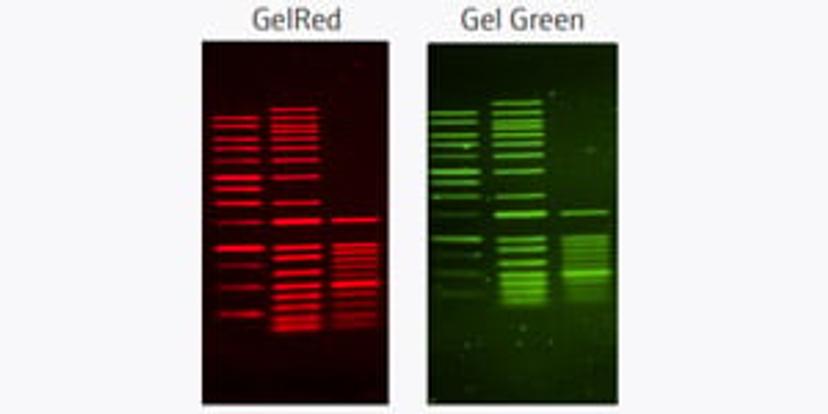 Application note - Protein Biology Special Feature 2020