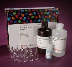Buy Thermo Scientific™ Micro BCA™ Protein Assay Kit Read Reviews