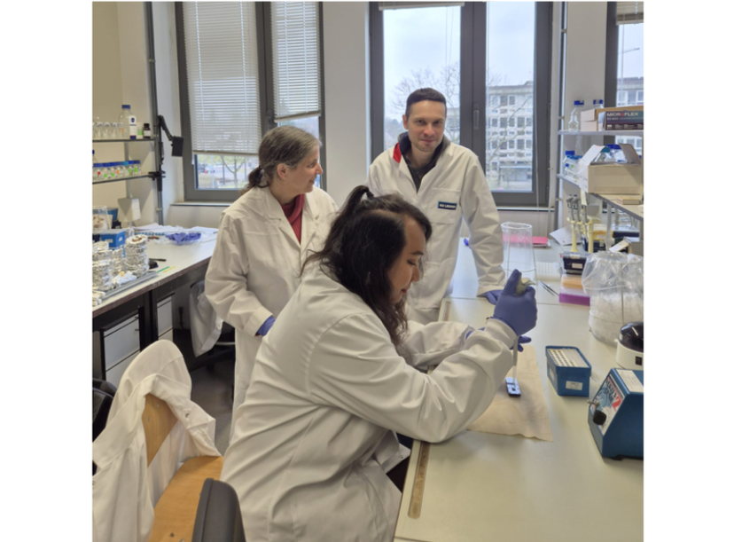 A. Patthamapornsirikul, V. Golyaev and C. Desbiez performing long read sequencing of ToLCNDV