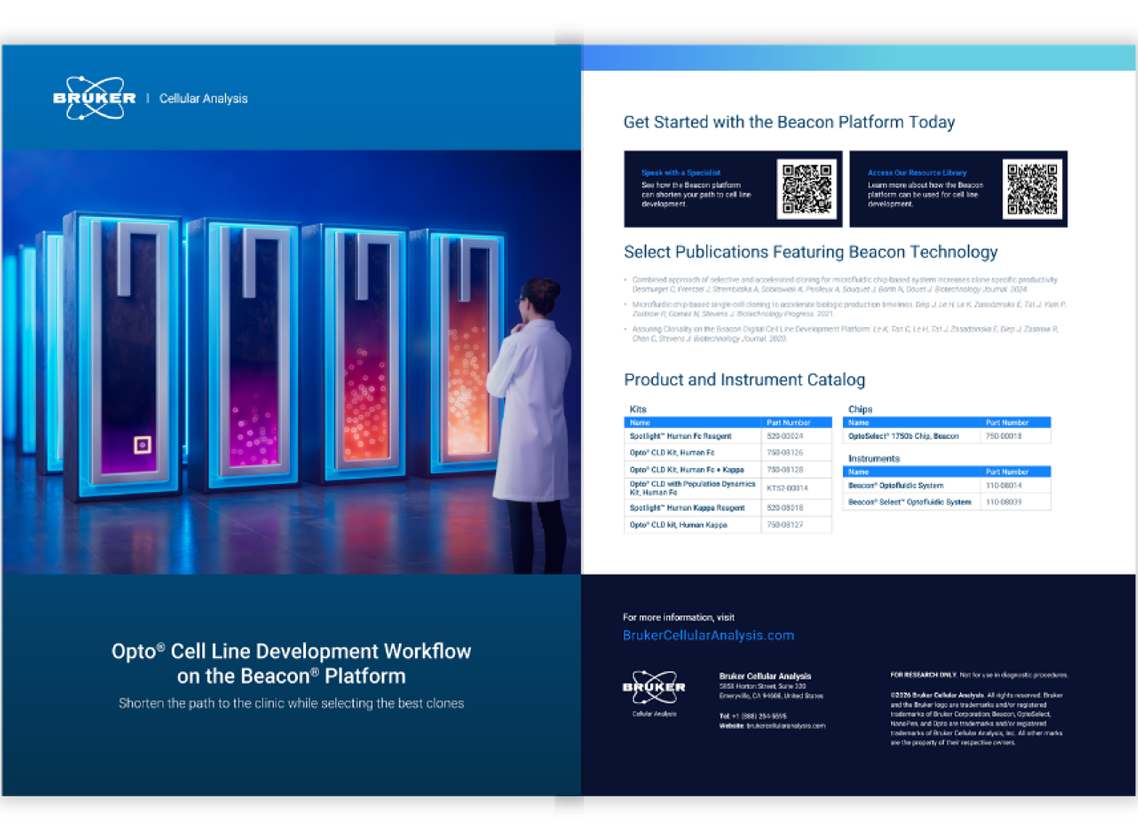 Opto® cell line development workflow on the Beacon® platform