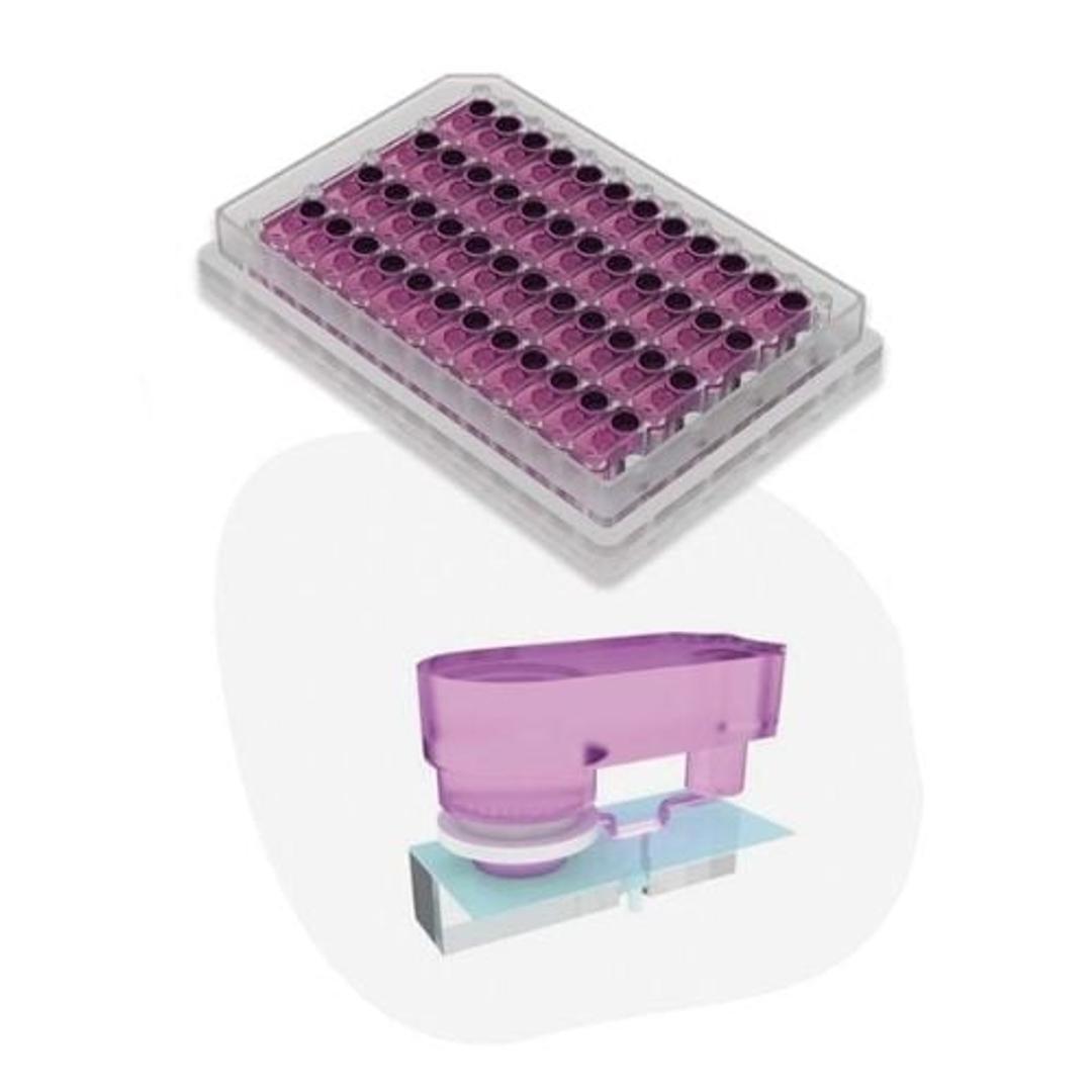 Multi-chip Liver-48 (MPS-LC12) plate