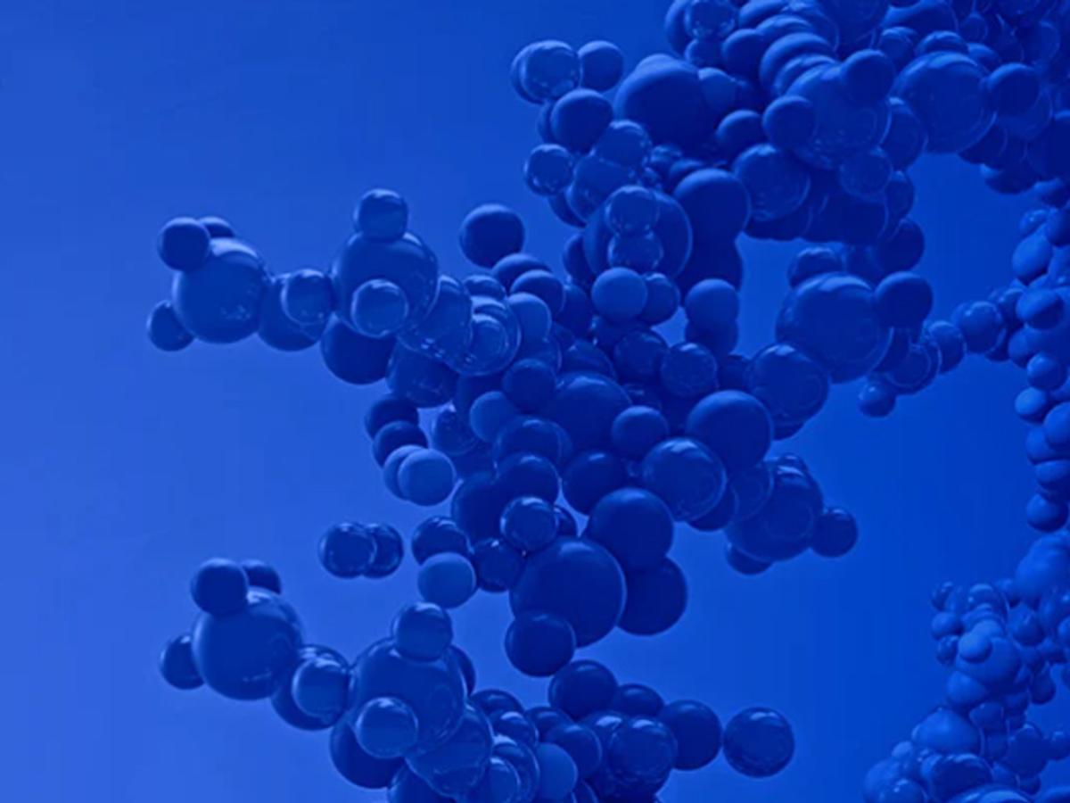 Thermo Scientific™ PageRuler™ Plus Prestained Protein Ladder, 10 to 250 kDa