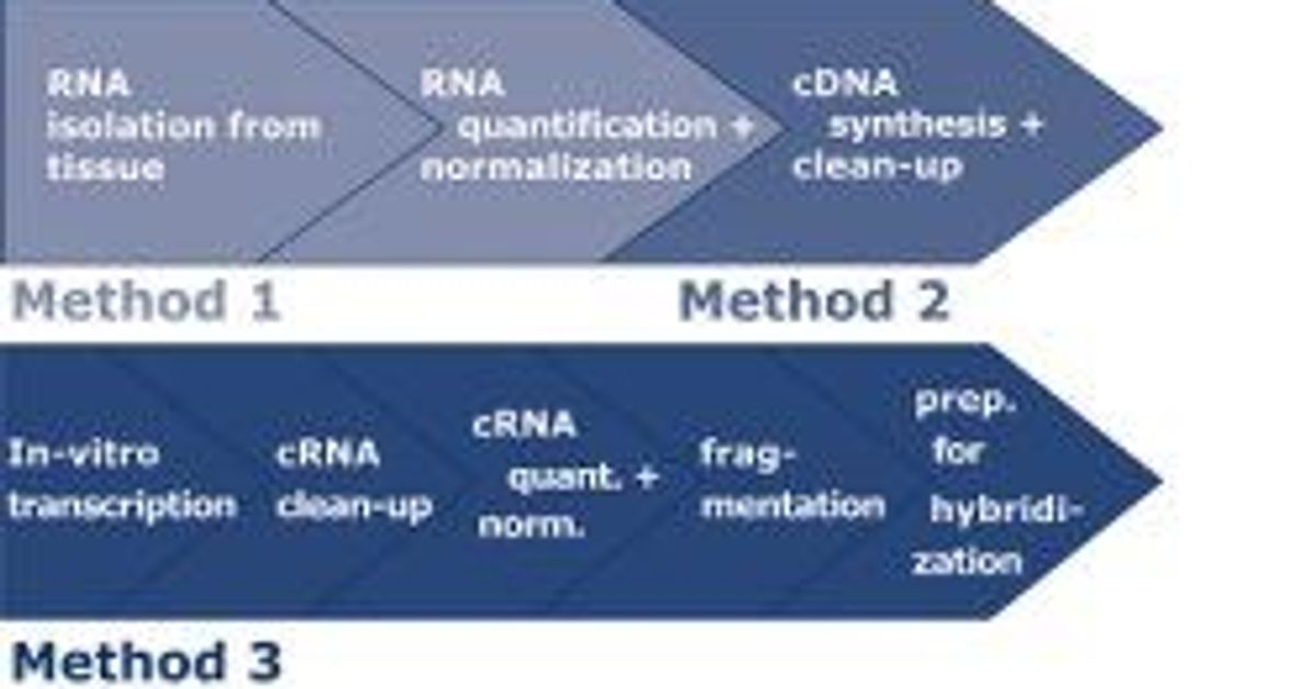 Star Array “STAR 4 Chips”: Your complete solution for all your microarray applications