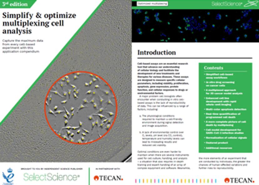 Organoids: Overcome the challenges of high-throughput 3D imaging and analysis eBook preview