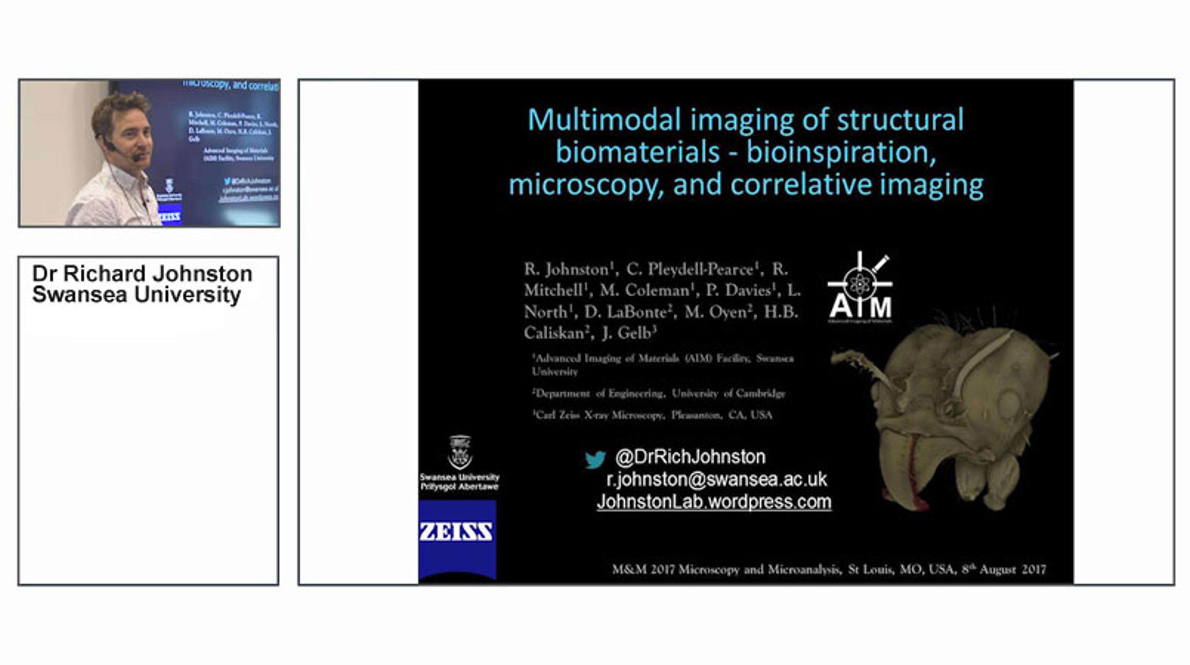 Multimodal Imaging of Structural Biomaterials - Bioinspiration, Microscopy and Correlative Imaging Multimodal Imaging of Structural Biomaterials - Bioinspiration, Microscopy and Correlative Imaging