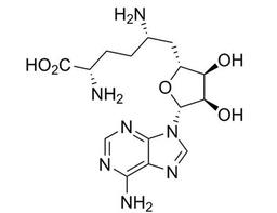 Sinefungin