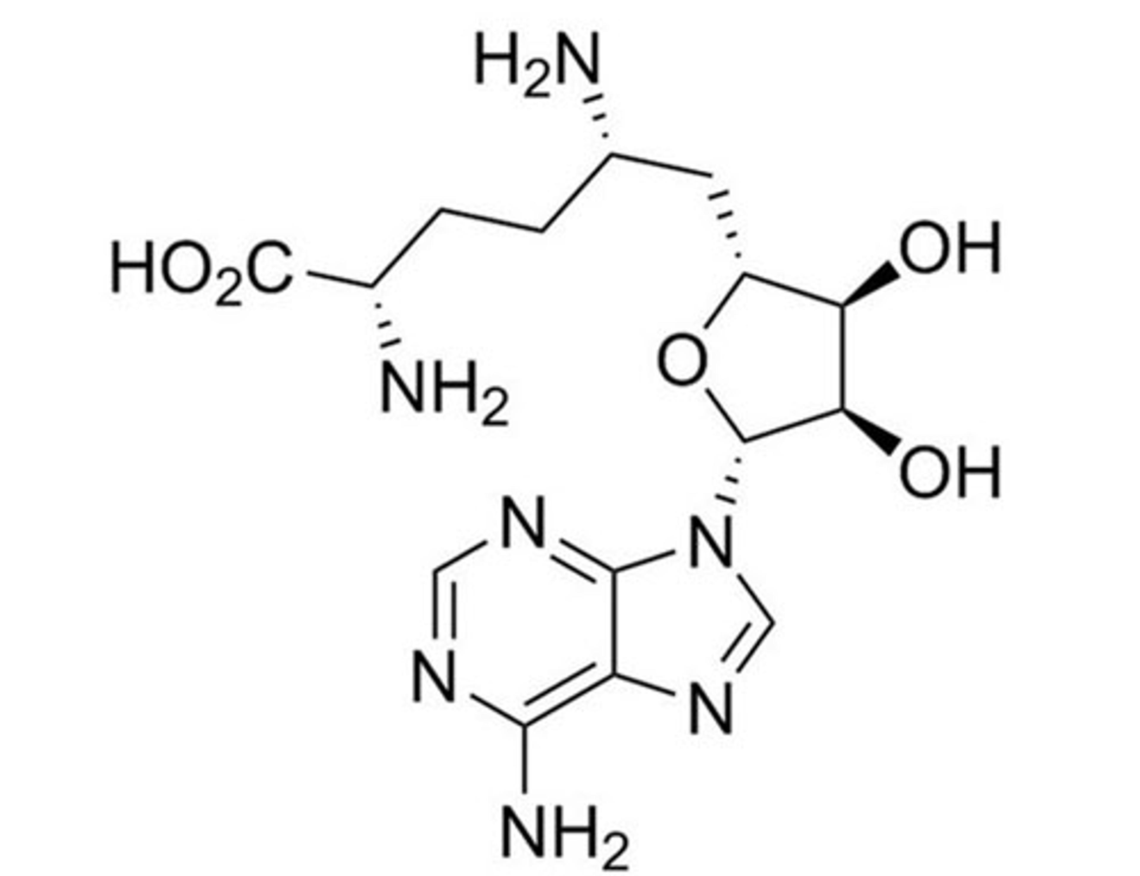 Sinefungin