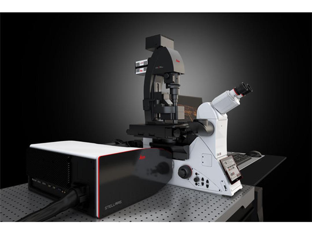 STELLARIS DLS Microscope