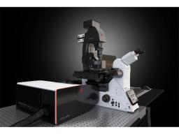 STELLARIS DLS Microscope