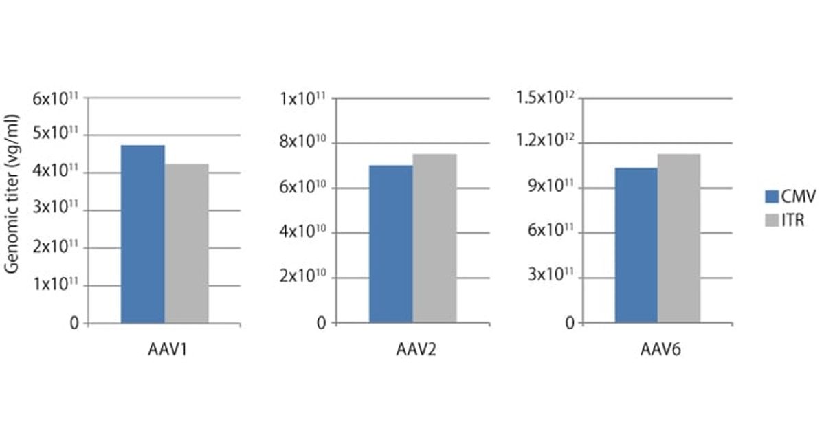 AAVpro® Titration Kit (for Real Time PCR) Ver.2