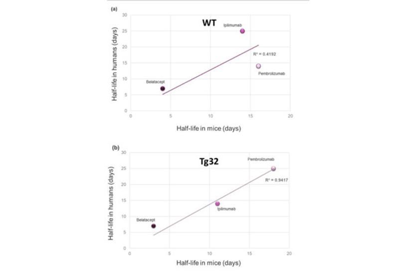 Evidence-based selection of the starting dose in first-in-human clinical trials using humanized mouse models