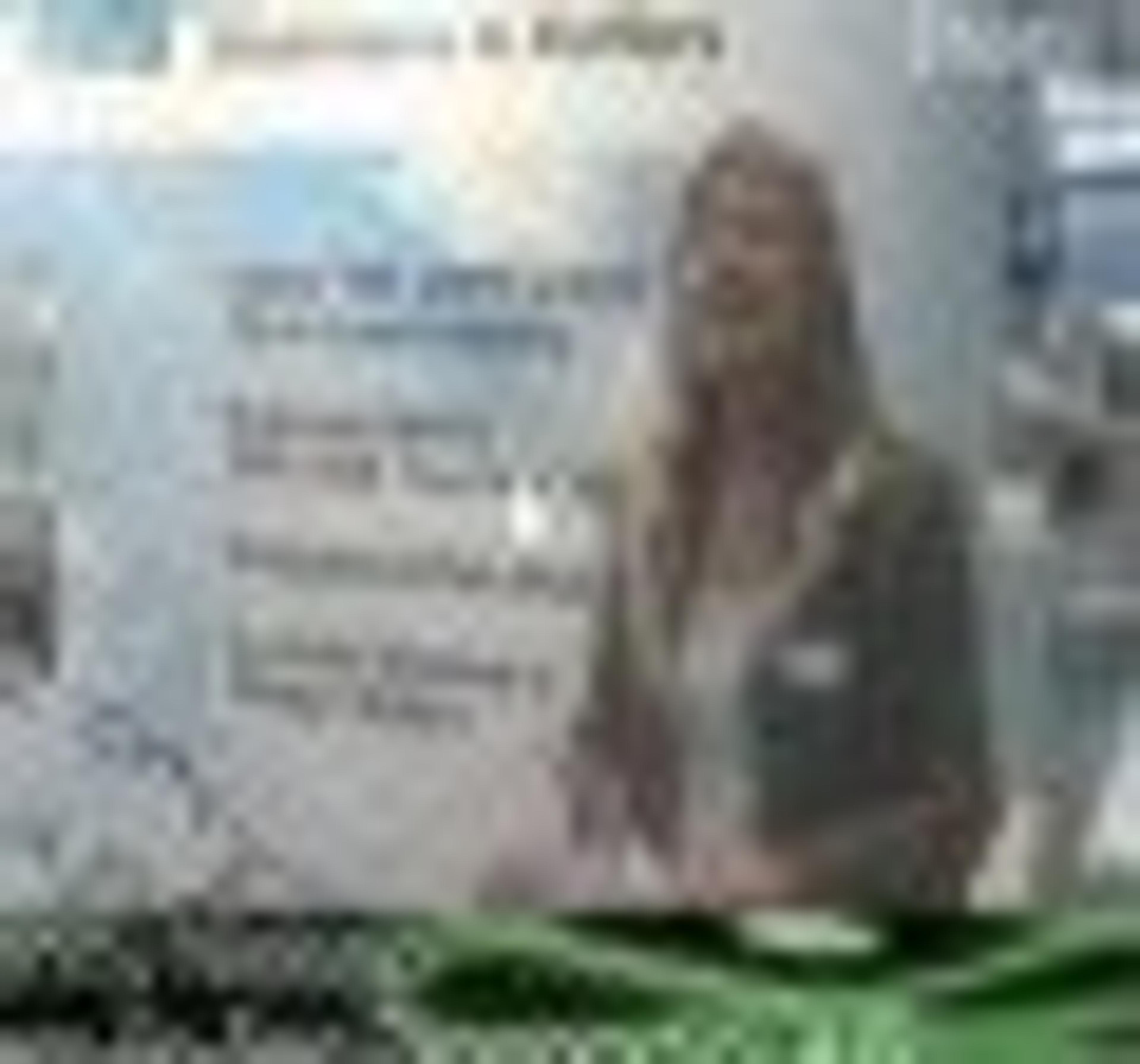 Kem-En-Tec Diagnostics Present Range of Reagents Kem-En-Tec Diagnostics Present Range of Reagents