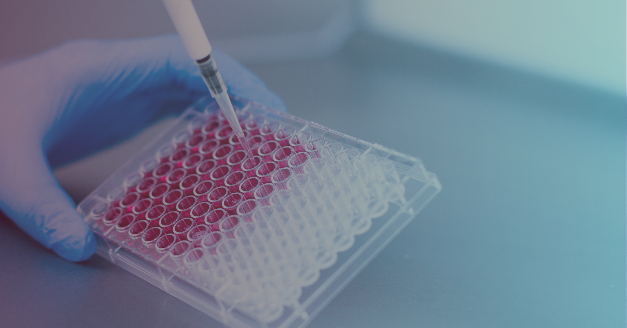 The latest in cell line development