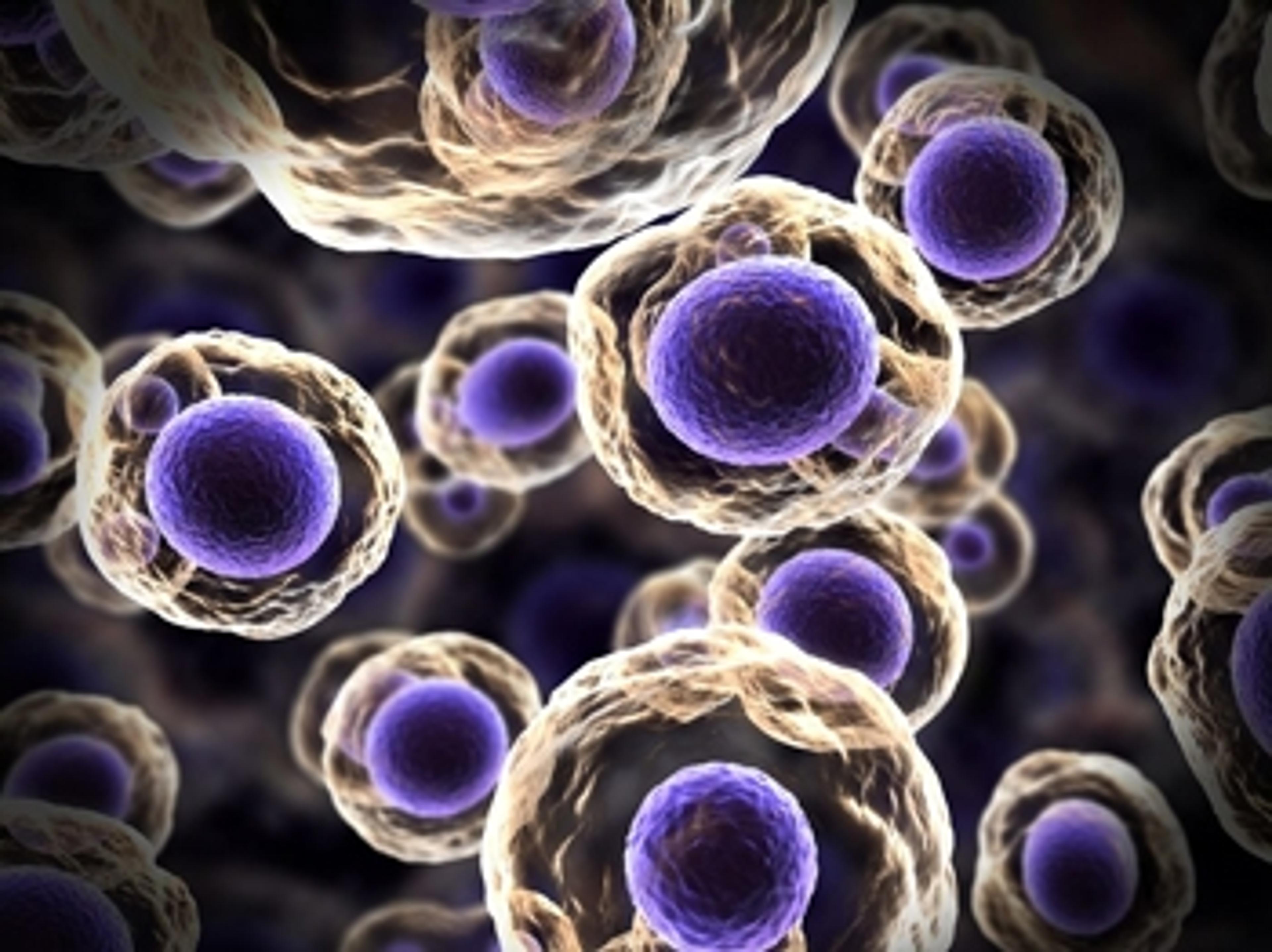 How to Buy Flow Cytometers for Screening