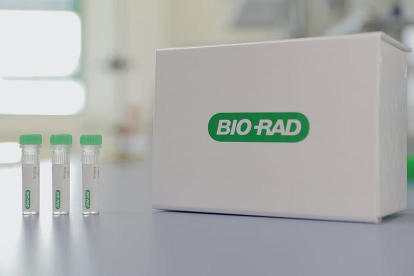 Custom HuCAL® Monoclonal Antibody Generation Service by Bio-Rad