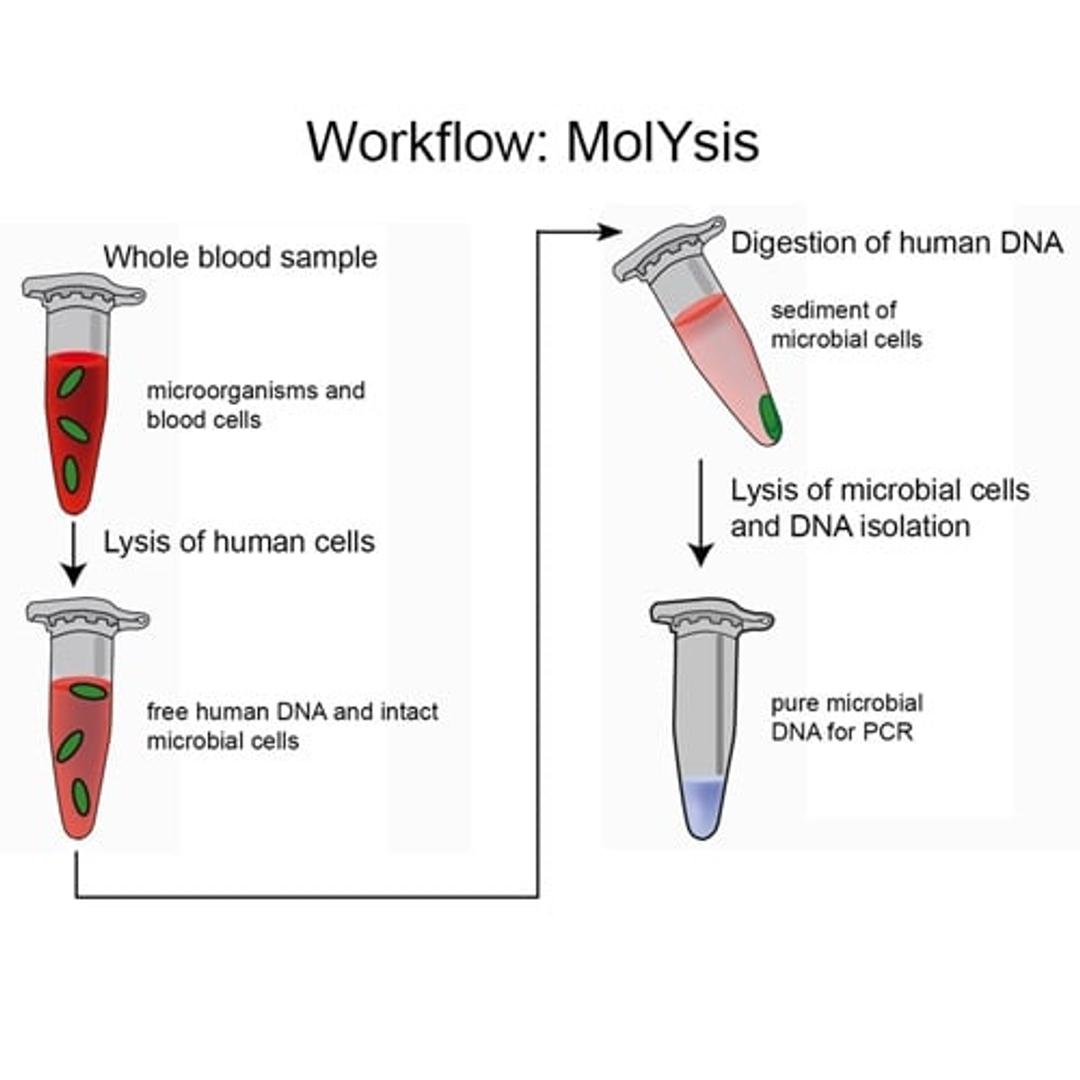 MolYsis™ technology