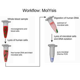 MolYsis™ technology